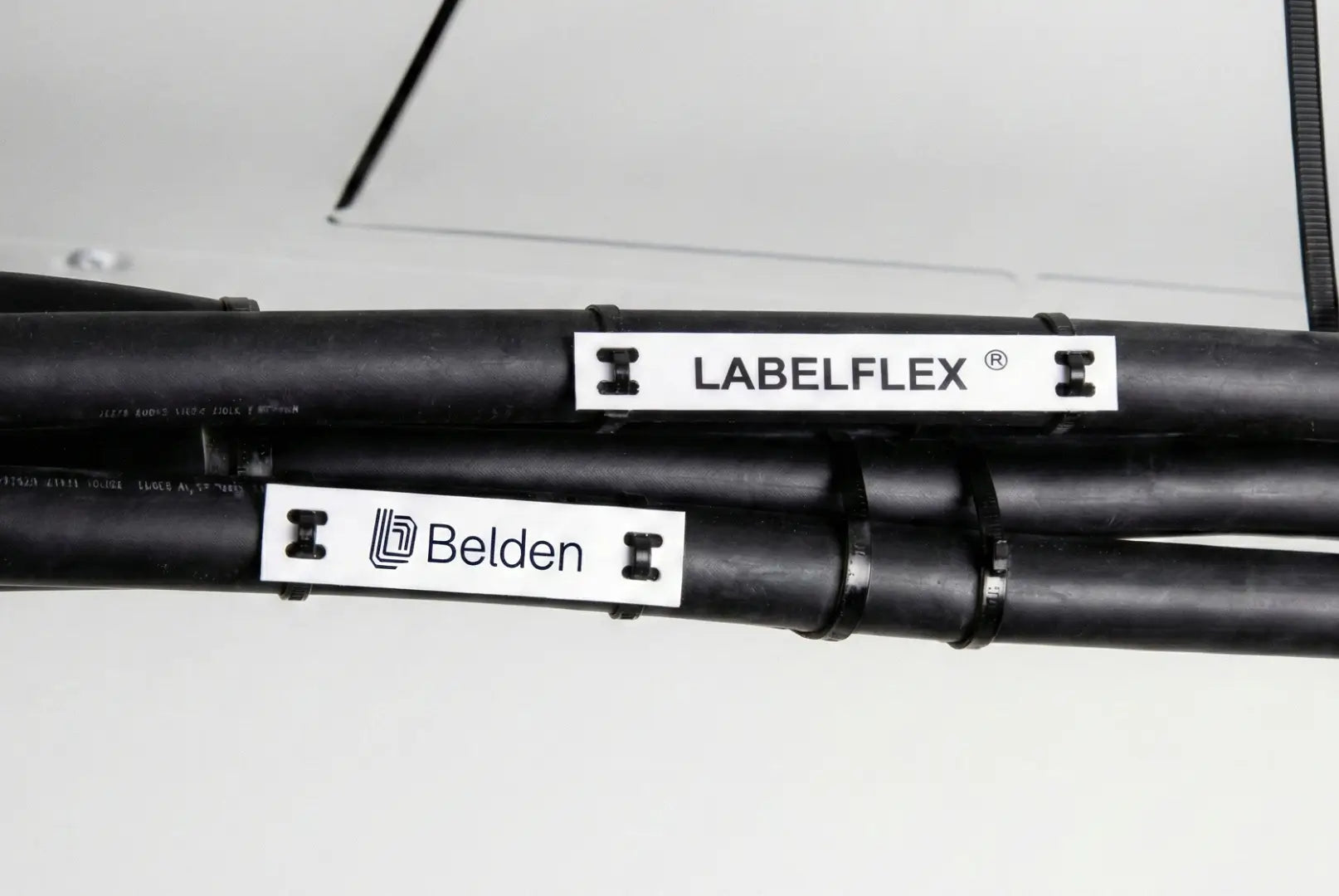 How to Import a Spreadsheet Into LabelFlex® for Batch Printing